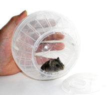 Load image into Gallery viewer, Plastic Pet Rodent Mice Jogging Ball Toy For Hamster