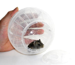 Plastic Pet Rodent Mice Jogging Ball Toy For Hamster